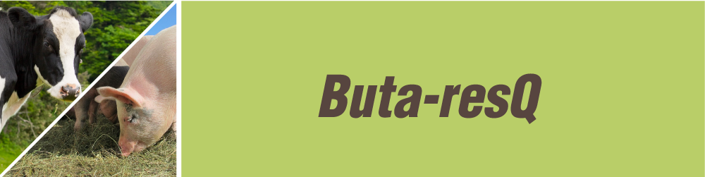 Buta-ResQ